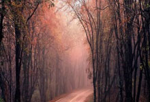 海星体育直播：孙颖莎蛇年首战 对阵徐孝元新华社微博.