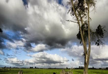 今年NBA状元什么水平？新美国之子，他才18岁啊！.