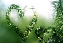 海星体育直播：（哈尔滨亚冬会）中国体育代表团名单解读：名将领衔、全项参赛中国新闻网.