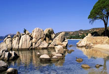 海星体育直播：[CBA]山东高速主场大胜 吉林遭遇三连败.